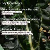 YOUTH TO THE PEOPLE Superfood Skin Drip Smooth + Glow Serum (30 ml)