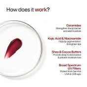 WishCare Tinted Ceramide Lip Balm with SPF50 PA++++ Kojic Acid & Niacinamide - Blush Red (5 g)