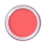 Bobbi Brown Pot Rouge Velvet Matte - Apricot Rush (8.5 g)
