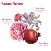 Sacred Grove Rani Baug Hair Perfume For Women (50 ml)