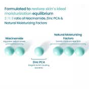 WishCare 2:1:3 NMF Oil Free Water Gel Moisturizer for Oily -Acne Prone Skin with Niacinamide (50 ml)