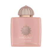 AMOUAGE Guidance EDP (100 ml)