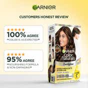 Garnier Color Naturals Hairlighter 4 Level Lighter