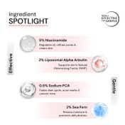 Deconstruct 2% Alpha Arbutin + 5% Niacinamide Clearing Serum (30 ml)