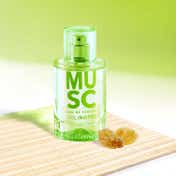 SOLINOTES Musc Eau de Parfum (50 ml)