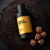 Wild Stone Prive Praline & Musk Parfum for Men (100 ml)
