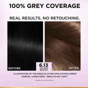 LOreal Paris New Excellence Creme Hair Color Hyaluronic Acid, 6.13 Golden Brown, (100gm + 72ml)