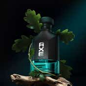 Axe Premium Luxury Perfumes Midnight Oak EDP (100 ml)