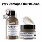 L'OREAL PROFESSIONNEL Absolut Repair Molecular Sulfate-Free Shampoo & Mask (550 ml)