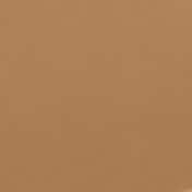 L.A. Girl Tinted Foundation - Almond (30 ml)
