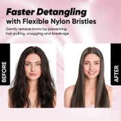 Vega Detangling Brush for Women, Men & Children, Wet & Dry Use (DTB-02)