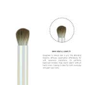 PAC X Sarah Blending Maestro Eyeshadow Brush