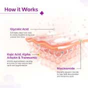 The Derma Co. 2% Kojic Acid Face Cream (30 g) Contains Alpha Arbutin & Glycolic Acid to Reduce Dark Spots