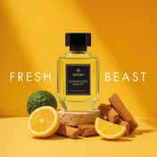 Neesh Signature Scent Extrait De Parfum for Unisex (100 ml)