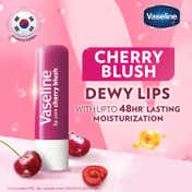Vaseline Lip Care Balm Stick - Cherry Blush (4.8 g)