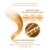 CURLYSHYLL After Salon Care Repair Hair Ampoule (100 ml)