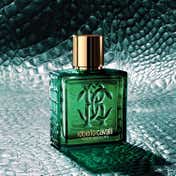 Roberto Cavalli Uomo Verde Assoluto Eau De Parfum for Men (100 ml)