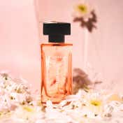 Giordano Spring Breeze Eau de Parfum (100 ml)