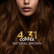 BBlunt Salon Secret High Shine Conditioning Hair Colour - 4.31 Coffee Natural Brown (130 g)
