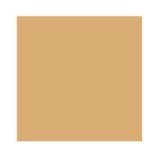 Laura Mercier Tinted Moisturizer Natural Dewy SPF 30 - 2W Citrine (45 ml)