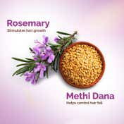 Mamaearth Rosemary Anti-Hair Fall Shampoo with Rosemary Methi Dana (600 ml)