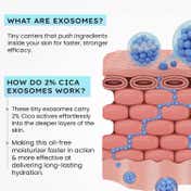 Hyphen 2% Cica Exosome Oil-Free Moisturizer (50 ml)