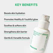 Innisfree Green Tea Seed Hyaluronic Serum (80ml)