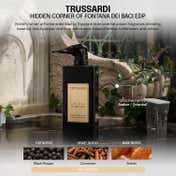 Trussardi Le Vie Di Milano Hidden Corner Of Fontana Dei Baci Eau De Parfum Intense (100 ml)