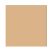 Laura Mercier Mini Tinted Moisturizer Natural Dewy SPF 30 - 2N Maple (15 ml)