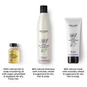Brillare Heavy Moisturising Treatment Combo For Dry, Frizzy Hair