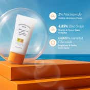 The Face Shop Active Sunscreen SPF 50+ PA++++ : Korean Waterproof Niacinamide Sun Protector (50ml)