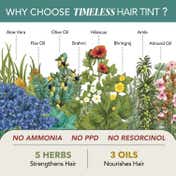 Paradyes Timeless Permanent Creme Hair Colour for Grey Coverage - 1.0 Natural Black (160 g)