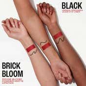 Lakme Wedding Guest Glam Kit Bullet Lipstick - Scarlet Rose Precision Eyeliner - Black (3 pcs)