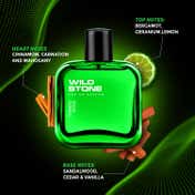 Wild Stone Forest Spice Eau De Parfum (100ml)