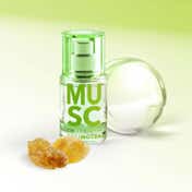SOLINOTES Musc Eau de Parfum (15 ml)