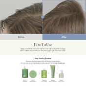 ANILLO Lime Sunday Refresh Shampoo Gentle Exfoliating and Clarifying Korean Shampoo (450 ml)