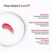 WishCare Tinted Ceramide Lip Balm for Dark Pigmented Lips with SPF50 PA+++ Heals Chapped Lips (5 g)