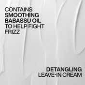 REDKEN Frizz Dismiss Rebel Tame Leave In Cream with Heat Protection,For Dry & Frizzy Hair (250 ml)