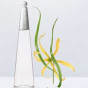 Issey Miyake L'Eau D'Issey Eau De Parfum Intense (100 ml)