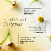 Farmacy Beauty Honey Milk Hydrating Essence (50 ml)