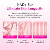 EQQUALBERRY Nad+ Peptide Boosting Cream (50 ml)