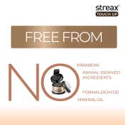 Streax Root Touch Up Powder - Black (4 g)