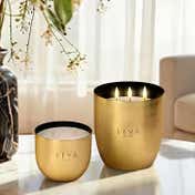 Seva Home Heirloom Classic Bloom Gold Candle (2 Pcs)