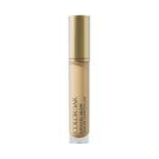 Colorbar Crystal Glow Serum Concealer - SCW 2.1 (6.2 ml)