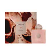 AMOUAGE Guidance EDP (100 ml)