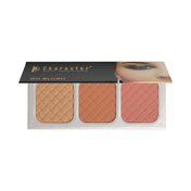 Character 3 Color Blusher - NTE004 (39 g)