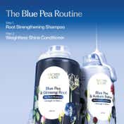 Sacred Grove Blue Pea & Kokum Butter Conditioner (300 ml)
