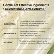 Anua Heartleaf Quercetinol Pore Deep Cleansing Foam (150 ml)