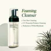 Pyunkang Yul Calming Low pH Foaming Cleanser (150 ml)