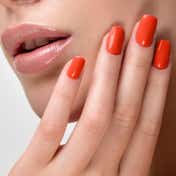Lakme Absolute Gel Stylist - Lobster Love (12 ml)